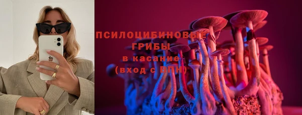 крисы Ростов