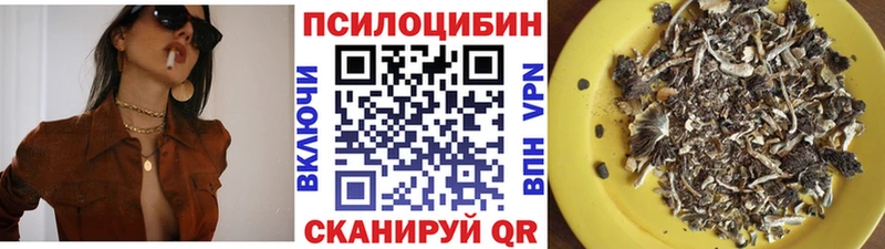 Псилоцибиновые грибы MAGIC MUSHROOMS что такое наркотик Горбатов
